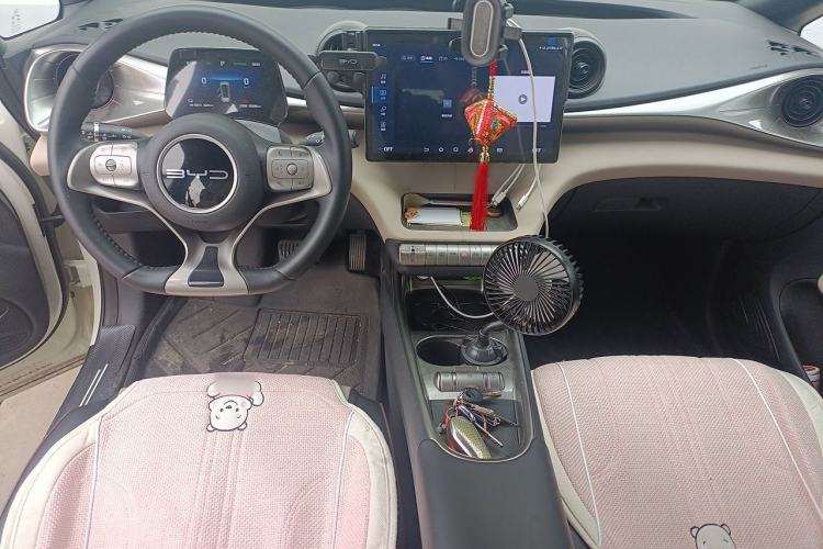 Used BYD Dolphin 2024 Honor Edition 420km Freedom Version Center Console