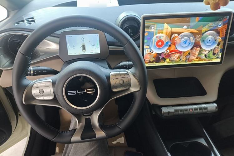 Used BYD Dolphin 2024 Honor Edition 420km Fashion Version Center Console