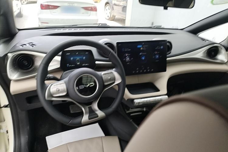 Used BYD Dolphin 2024 Honor Edition 420km Fashion Version Center Console