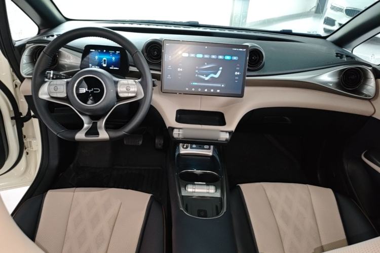 Used BYD Dolphin 2024 Honor Edition 420km Fashion Version Center Console