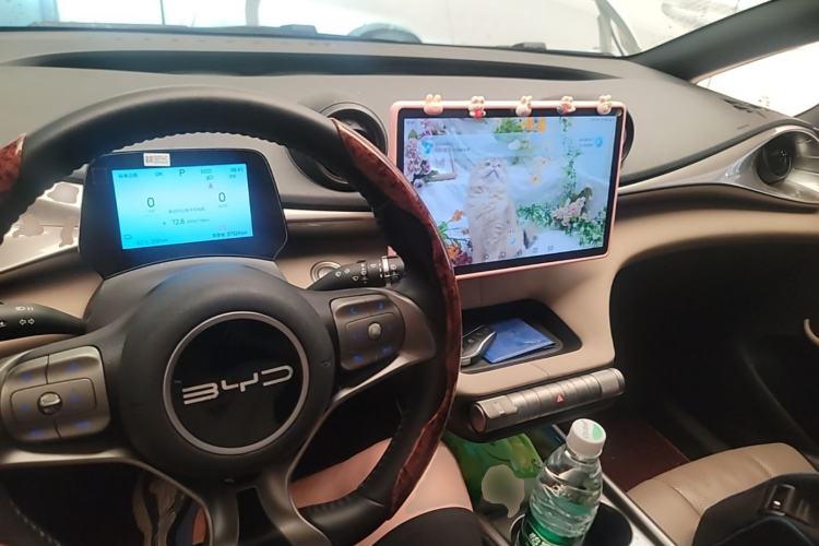 Used BYD Dolphin 2024 Honor Edition 420km Freedom Version Center Console