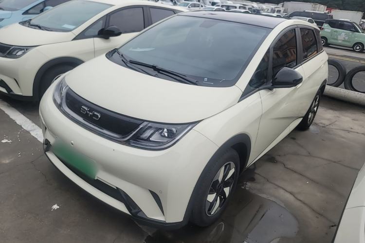 Used BYD Dolphin 2024 Honor Edition 420km Fashion Version Guazi used car, China used car export, Used car for sale, Used  cars, Cheapest cars for sale