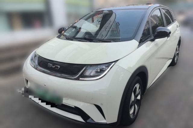 BYD Dolphin 2024 Honor Edition 420km Fashion Version usado