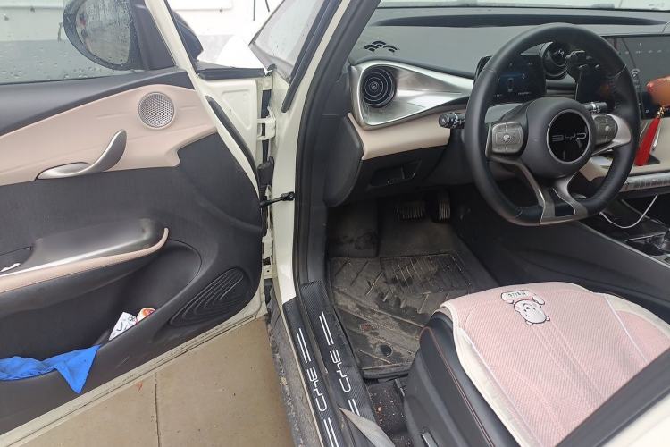 Used BYD Dolphin 2024 Honor Edition 420km Freedom Version Driver Seat
