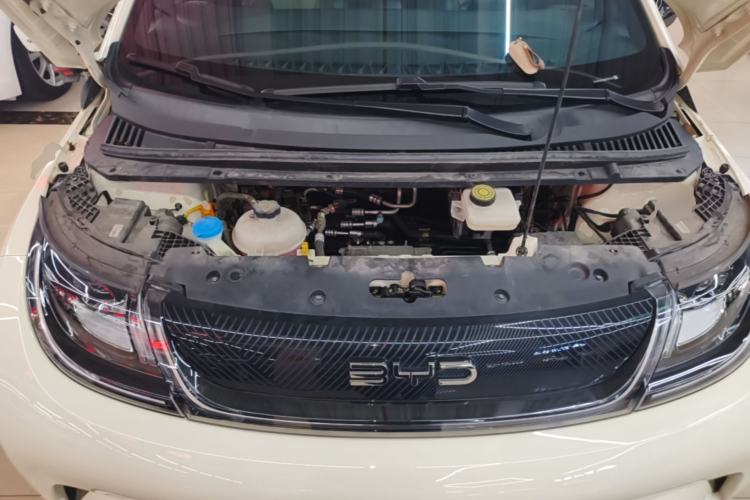 Used BYD Dolphin 2024 Honor Edition 420km Freedom Version Engine Bay