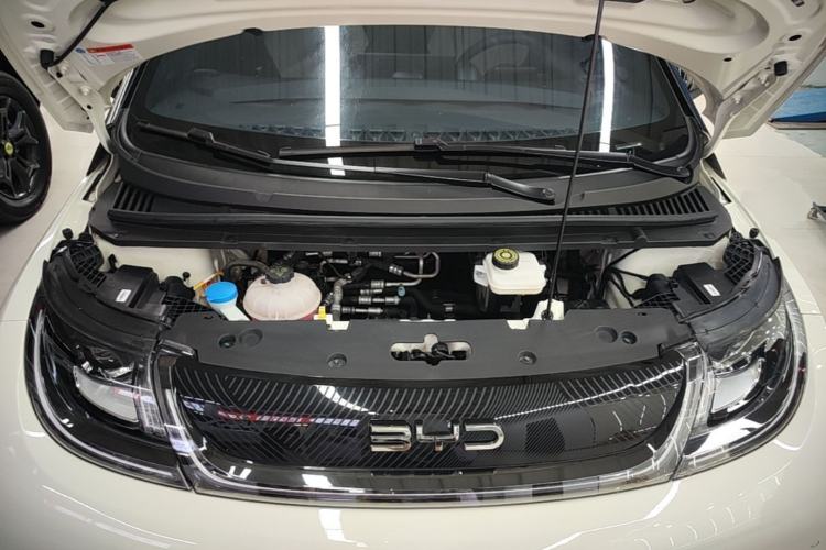 Used BYD Dolphin 2024 Honor Edition 420km Fashion Version Engine Bay