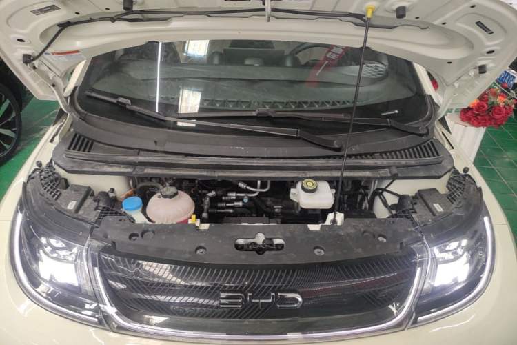 Used BYD Dolphin 2024 Honor Edition 420km Fashion Version Engine Bay