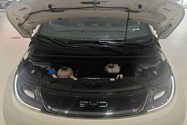 Used BYD Dolphin 2024 Honor Edition 420km Fashion Version Engine Bay