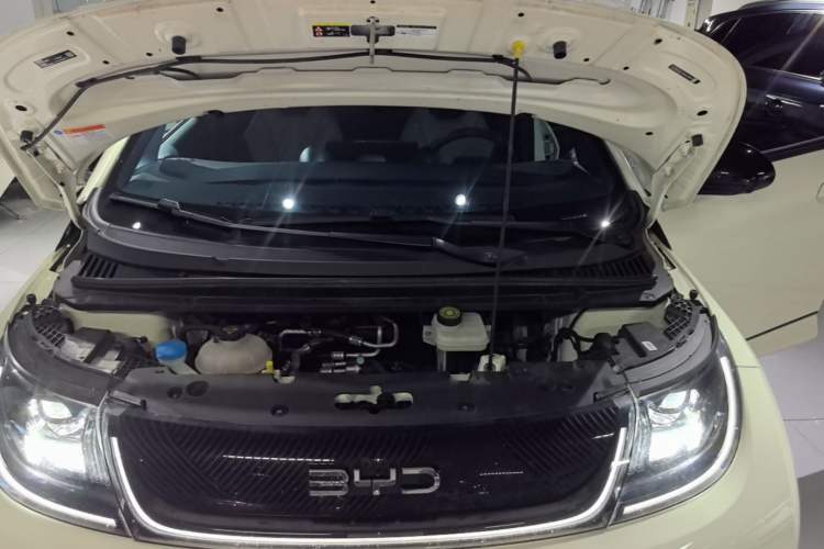 Used BYD Dolphin 2024 Honor Edition 420km Fashion Version Engine Bay
