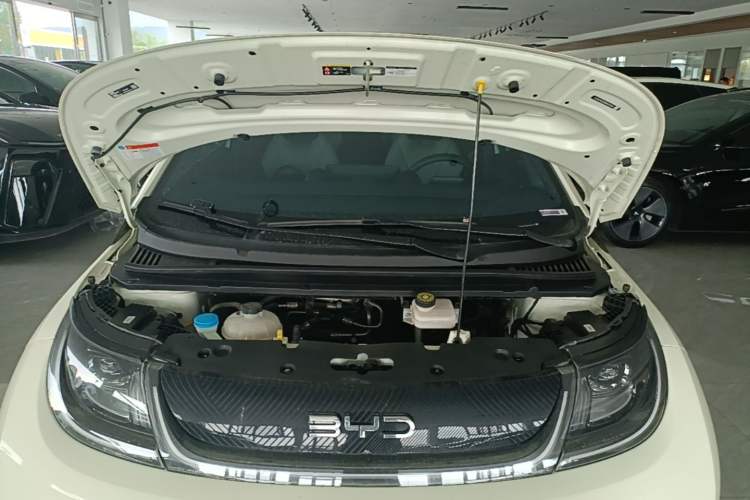 Used BYD Dolphin 2024 Honor Edition 420km Fashion Version Engine Bay