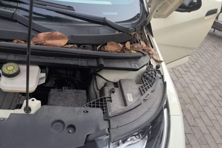Used BYD Dolphin 2024 Honor Edition 420km Fashion Version Engine Bay Left