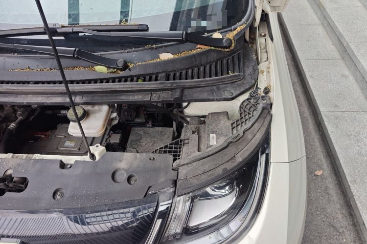 Used BYD Dolphin 2024 Honor Edition 420km Freedom Version Engine Bay Left