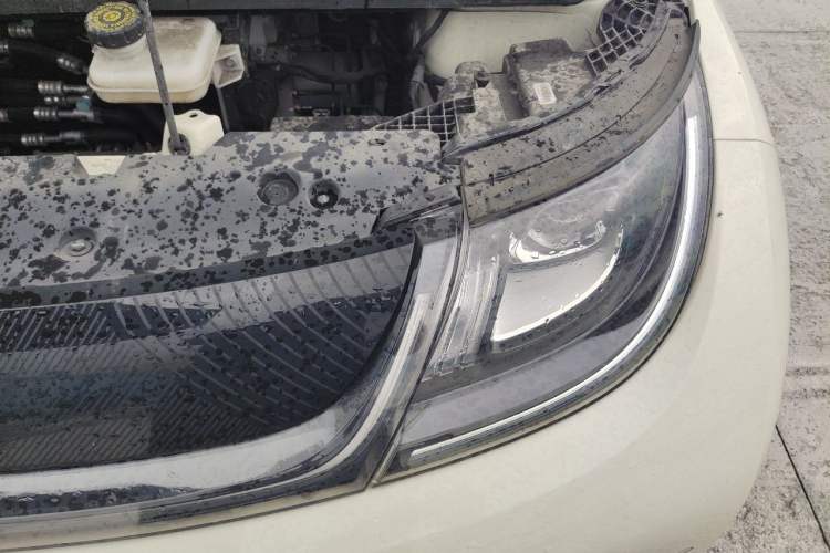 Used BYD Dolphin 2024 Honor Edition 420km Fashion Version Engine Bay Left