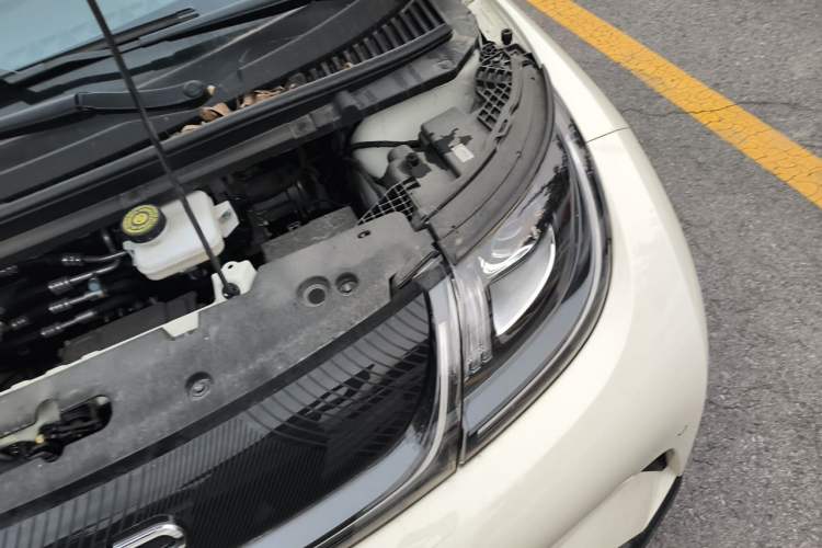 Used BYD Dolphin 2024 Honor Edition 420km Fashion Version Engine Bay Left