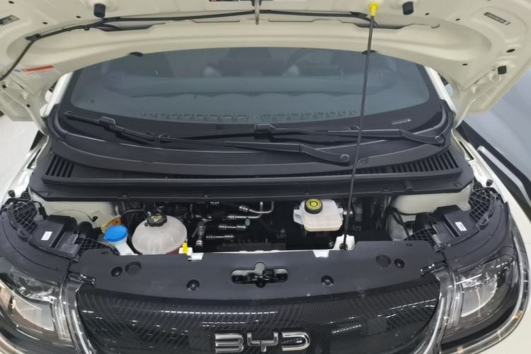 Used BYD Dolphin 2024 Honor Edition 420km Freedom Version Engine Bay