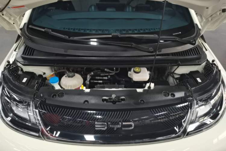 Used BYD Dolphin 2024 Honor Edition 420km Fashion Version Engine Bay