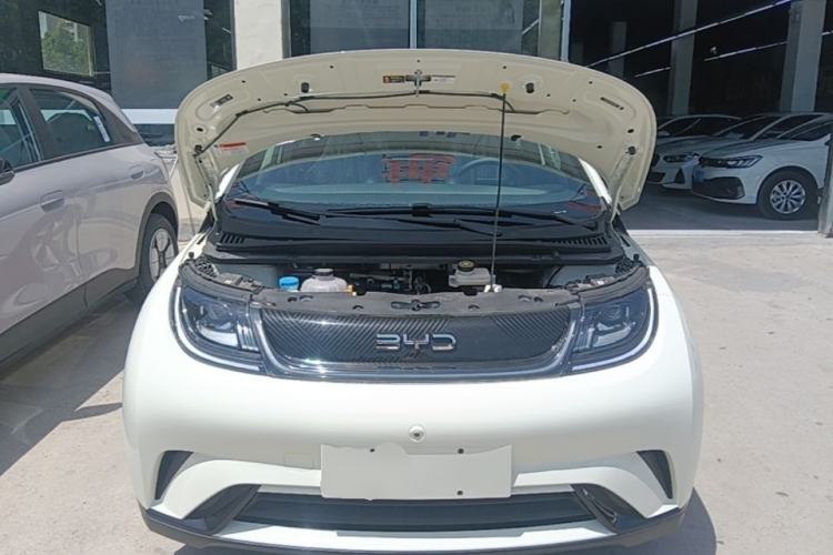 Used BYD Dolphin 2024 Honor Edition 420km Freedom Version Engine Bay