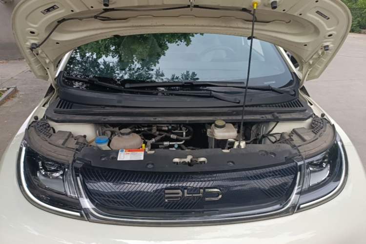 Used BYD Dolphin 2024 Honor Edition 420km Fashion Version Engine Bay