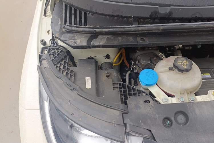 Used BYD Dolphin 2024 Honor Edition 420km Freedom Version Engine Bay Right