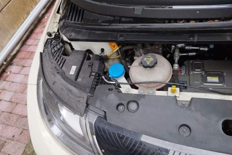 Used BYD Dolphin 2024 Honor Edition 420km Freedom Version Engine Bay Right