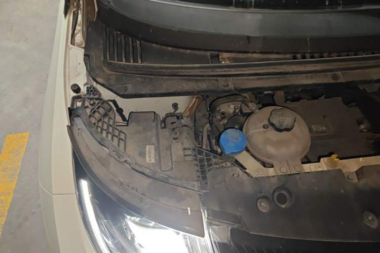 Used BYD Dolphin 2024 Honor Edition 420km Fashion Version Engine Bay Right