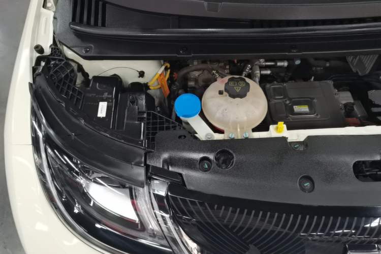 Used BYD Dolphin 2024 Honor Edition 420km Fashion Version Engine Bay Right