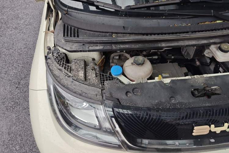 Used BYD Dolphin 2024 Honor Edition 420km Freedom Version Engine Bay Right