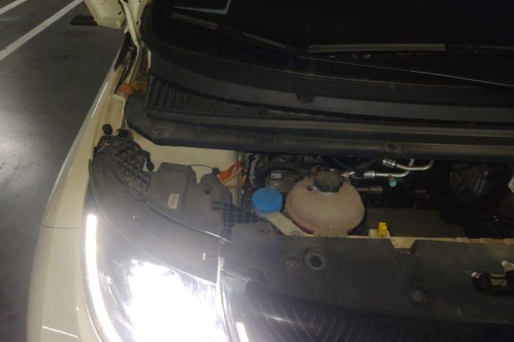 Used BYD Dolphin 2024 Honor Edition 420km Fashion Version Engine Bay Right