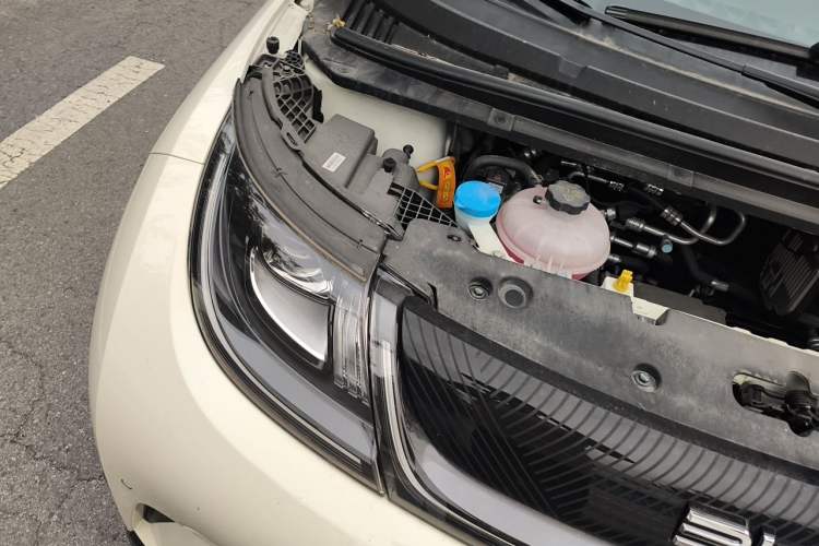 Used BYD Dolphin 2024 Honor Edition 420km Fashion Version Engine Bay Right