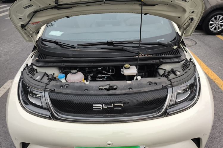 Used BYD Dolphin 2024 Honor Edition 420km Fashion Version Engine Bay