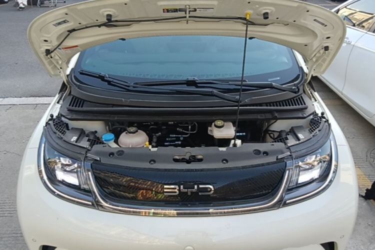 Used BYD Dolphin 2024 Honor Edition 420km Fashion Version Engine Bay