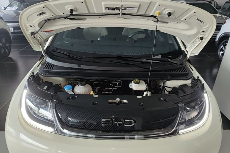Used BYD Dolphin 2024 Honor Edition 420km Freedom Version Engine Bay