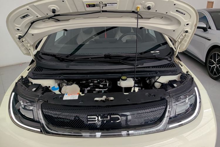 Used BYD Dolphin 2024 Honor Edition 420km Fashion Version Engine Bay