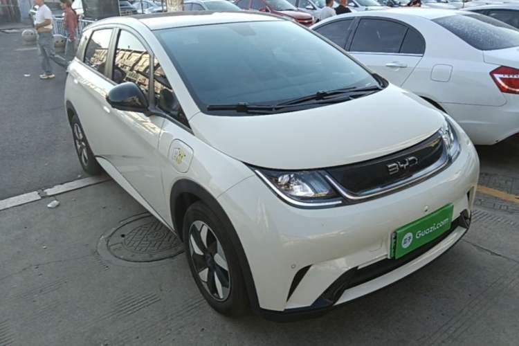 Used BYD Dolphin 2024 Honor Edition 420km Fashion Version Exterior 1