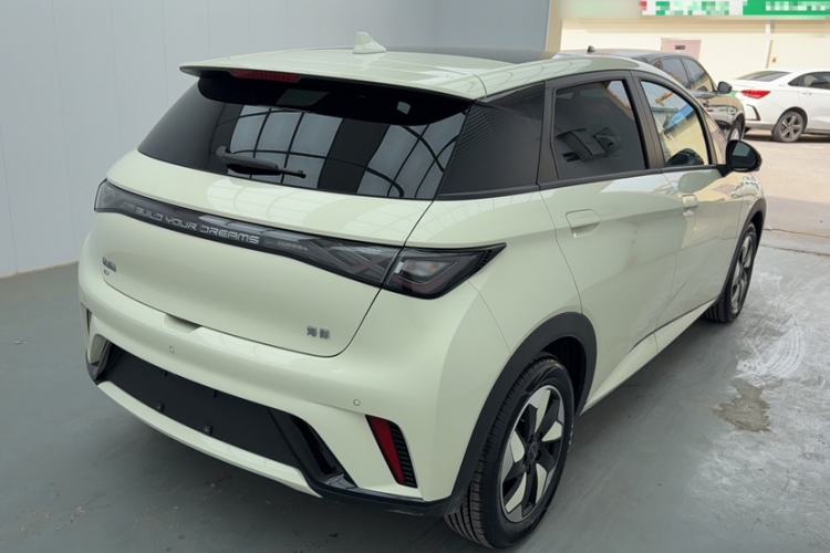 Used BYD Dolphin 2024 Honor Edition 420km Fashion Version Exterior 2