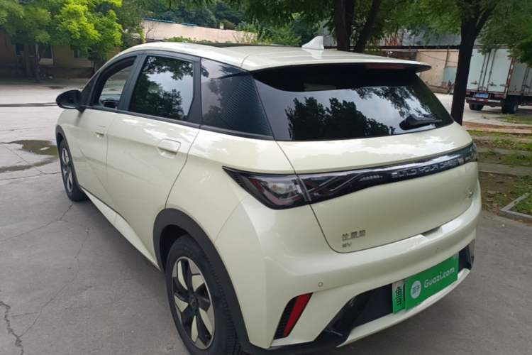 Used BYD Dolphin 2024 Honor Edition 420km Fashion Version Exterior 2