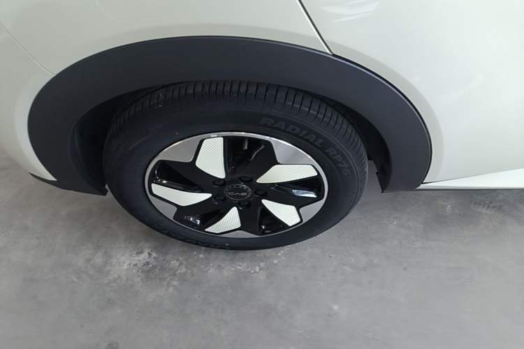 Used BYD Dolphin 2024 Honor Edition 420km Fashion Version Exterior 3