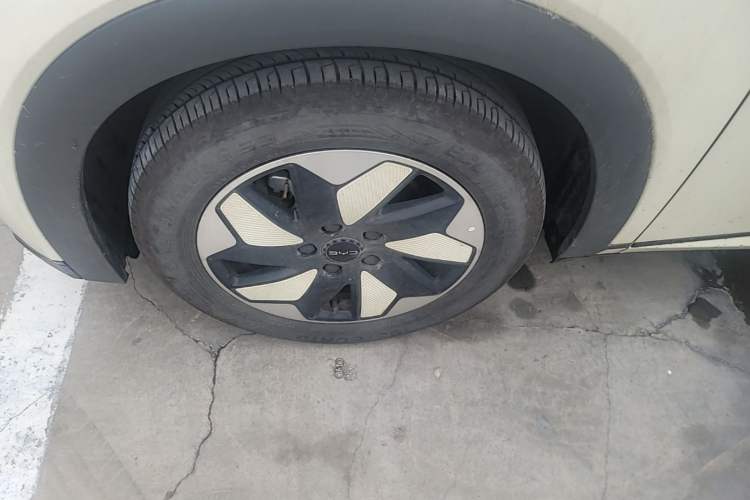 Used BYD Dolphin 2024 Honor Edition 420km Fashion Version Exterior 4