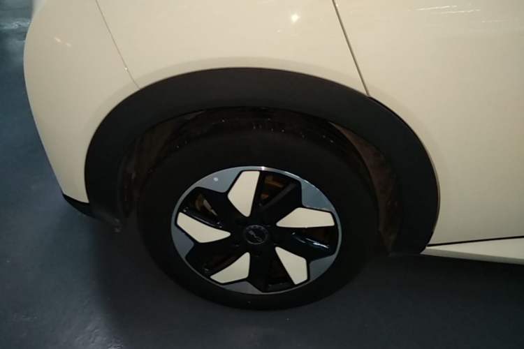 Used BYD Dolphin 2024 Honor Edition 420km Freedom Version Exterior 5