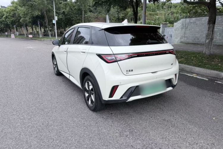 Used BYD Dolphin 2024 Honor Edition 420km Freedom Version Exterior 5