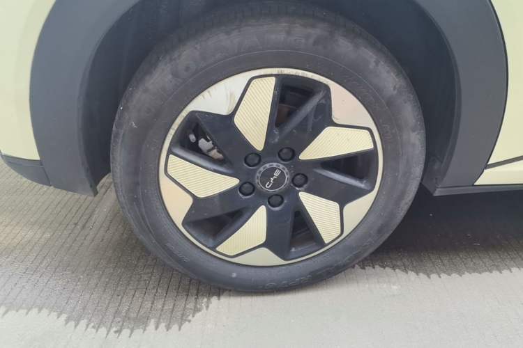 Used BYD Dolphin 2024 Honor Edition 420km Freedom Version Exterior 5