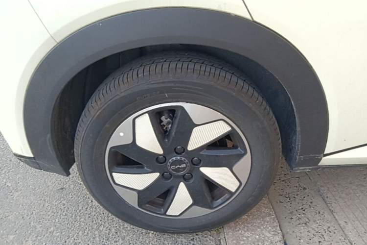 Used BYD Dolphin 2024 Honor Edition 420km Fashion Version Exterior 5