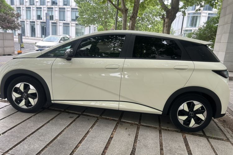 Used BYD Dolphin 2024 Honor Edition 420km Fashion Version Exterior 6
