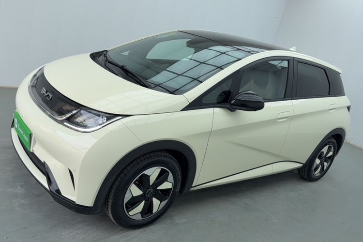 Used BYD Dolphin 2024 Honor Edition 420km Fashion Version Exterior 6