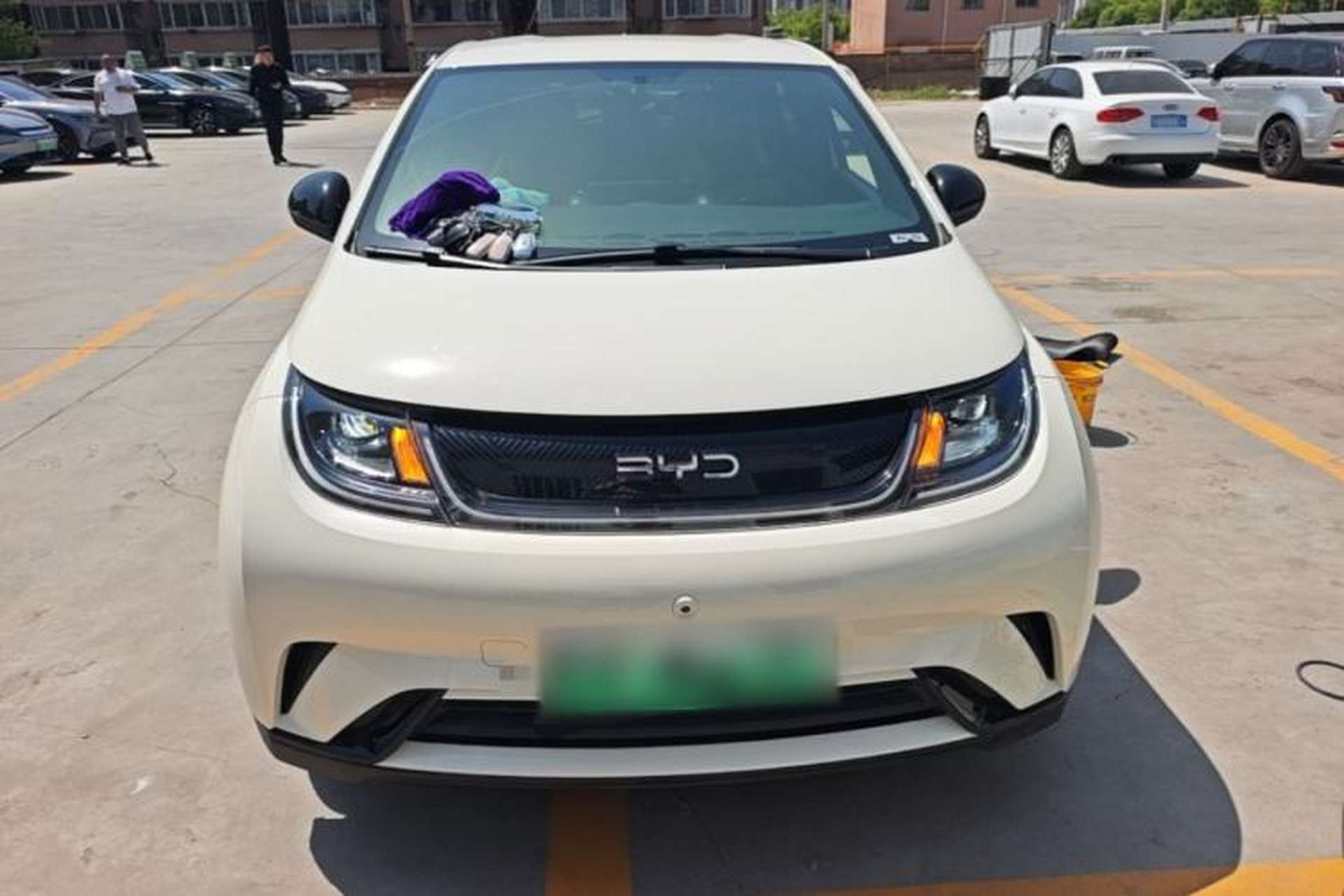 Used BYD Dolphin 2024 Honor Edition 420km Freedom Version Front