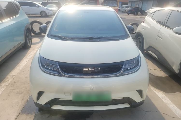 Used BYD Dolphin 2024 Honor Edition 420km Freedom Version Front
