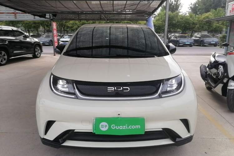 Used BYD Dolphin 2024 Honor Edition 420km Freedom Version Front