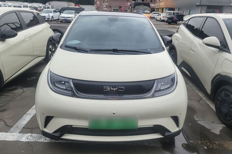 Used BYD Dolphin 2024 Honor Edition 420km Fashion Version Front