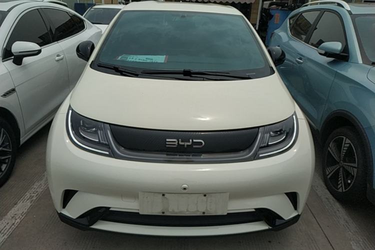 Used BYD Dolphin 2024 Honor Edition 420km Freedom Version Front