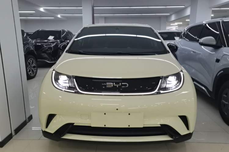 Used BYD Dolphin 2024 Honor Edition 420km Freedom Version Front